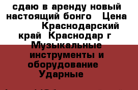 сдаю в аренду новый настоящий бонго › Цена ­ 100 - Краснодарский край, Краснодар г. Музыкальные инструменты и оборудование » Ударные   
